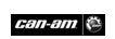 Can-Am - Бренд квадроциклов компании BRP